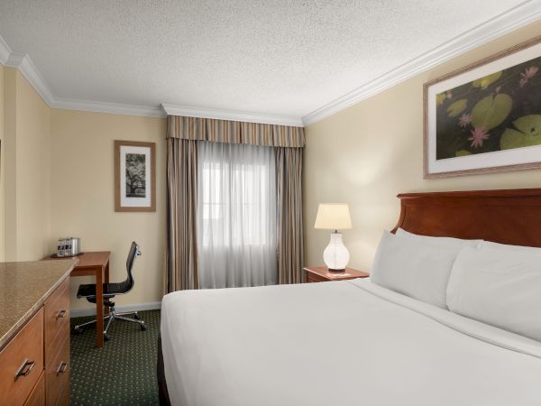 The image shows a hotel room with a bed, desk, TV, lamp, and framed pictures, creating a simple and comfortable ambiance.