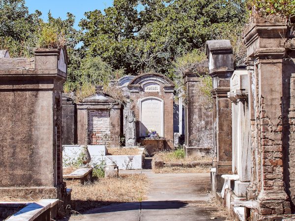 A cemetery path lined with above-ground tombs and mausoleums, surrounded by trees and under a clear blue sky.